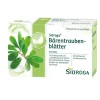 Sidroga Blasentee|Blasenentzündung Medikamente-® Bärentraubenblätter Filterbeutel, 20X2.0 g