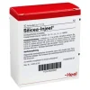 Injeel Heel-Silicea Ampullen, 10 St