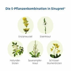 Sinupret ® überzogene Tabletten, 100 St- Schnupfen & Nasennebenhöhlen