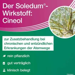 Soledum Schnupfen & Nasennebenhöhlen|Hustenlöser-addicur 200 mg magensaftresistent Weichkapseln, 100 St