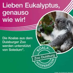 Soledum Schnupfen & Nasennebenhöhlen|Hustenlöser-addicur 200 mg magensaftresistent Weichkapseln, 100 St