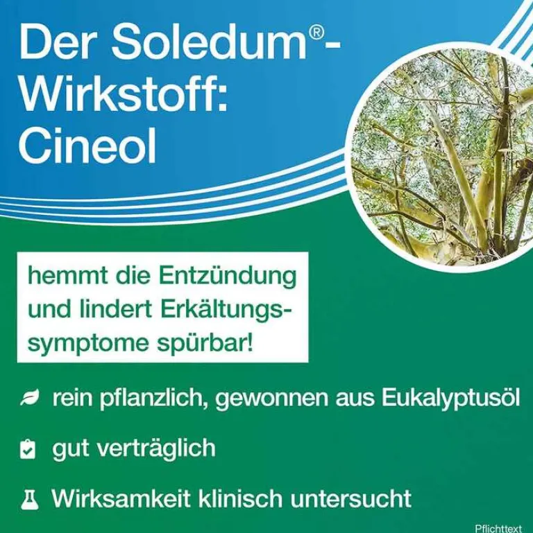 Soledum Schnupfen & Nasennebenhöhlen|Hustenlöser-Kapseln forte, 2x100 St