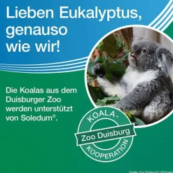 Soledum Schnupfen & Nasennebenhöhlen|Hustenlöser-Kapseln forte, 2x100 St