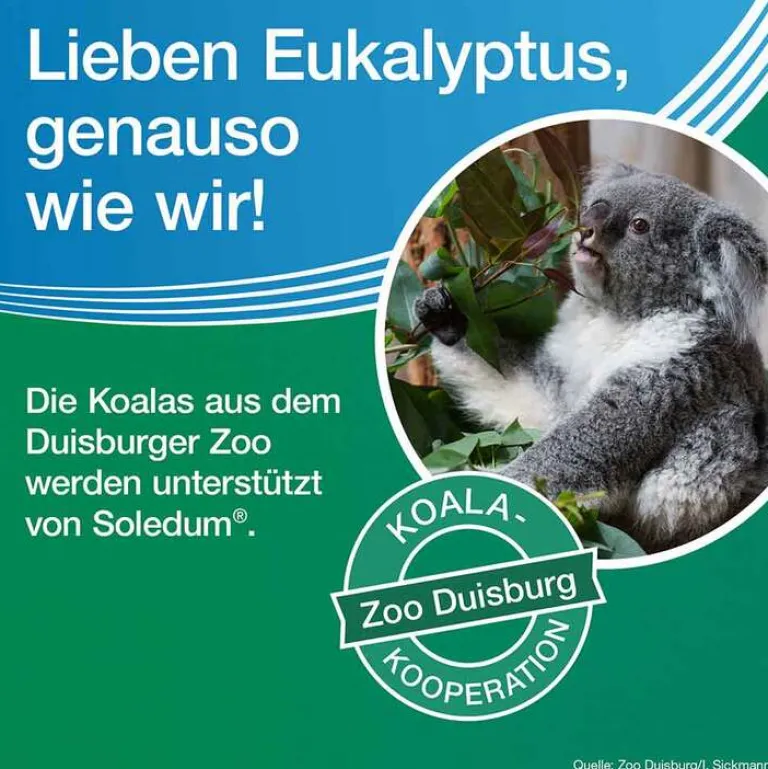 Soledum Schnupfen & Nasennebenhöhlen|Hustenlöser-Kapseln forte, 2x100 St