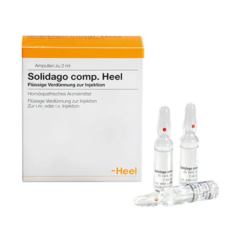 Solidago comp. Ampullen, 100 St^Heel New