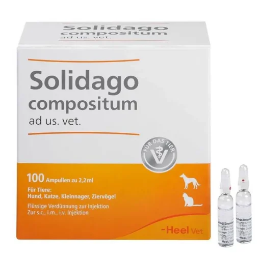 Heel Solidago compositum ad us. vet. Ampullen, 100 St- Biologische Heilmittel Heel Gmbh