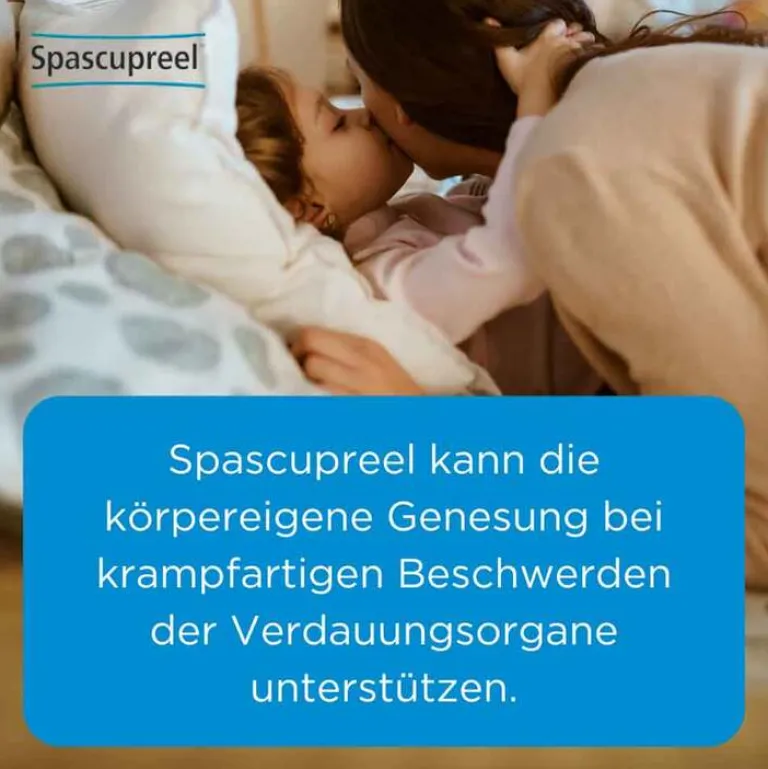 Spascupreel Heel-Tabletten, 250 St