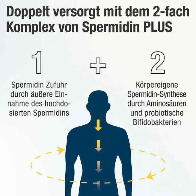 Spermidin Plus Kapseln, 60 St^ Online