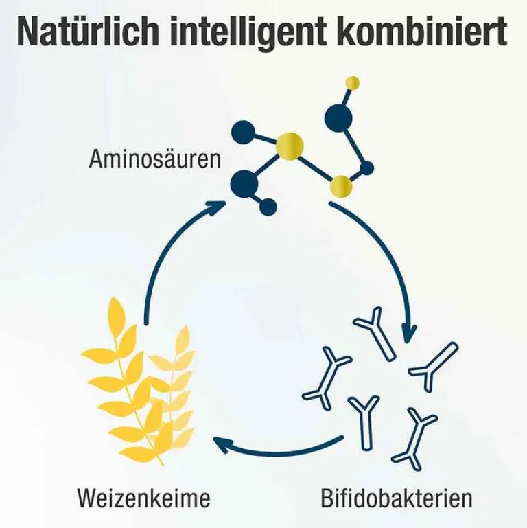 Spermidin Plus Kapseln, 60 St^ Online