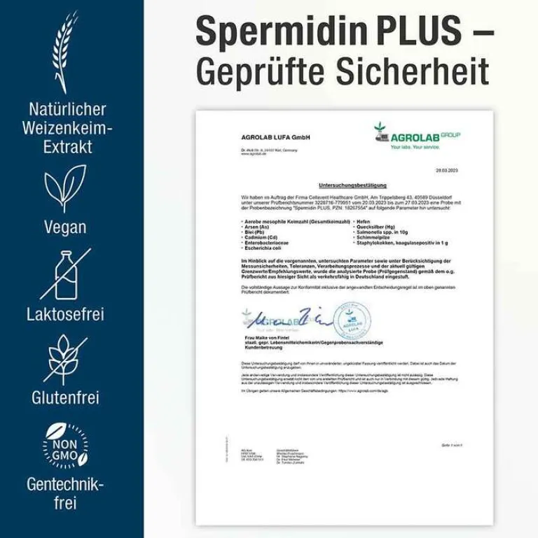 Spermidin Plus Kapseln, 60 St^ Online