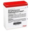 Injeel Streptococcus Haemolyticus Ampullen, 10 St- Heel