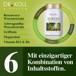 Dr. Koll Hirnleistung & Nerven-Stress Balance Vitamin B6 + B12 + Magnesium, 60 St