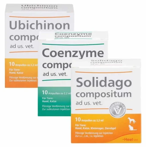 Heel Suc Kombination, 3x10 St- Biologische Heilmittel Heel Gmbh
