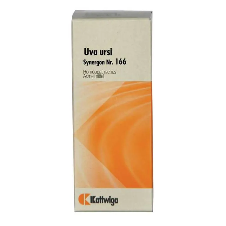 Synergon 166 Uva ursi Tropfe, 50 ml^Kattwiga Discount