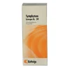 Synergon Komplex 34 Symphytum Tropfen, 50 ml^Kattwiga