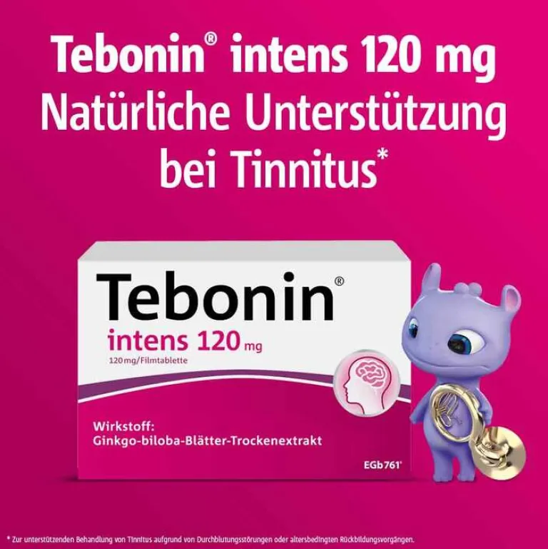® intens 120 mg Filmtabletten, 120 St^Tebonin Best