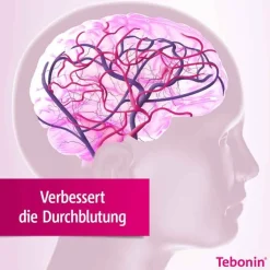 Tebonin konzent 240 mg Filmtabletten, 60 St- Ginkgo|Durchblutungs Tabletten