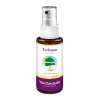 Teebaum Fußspray Bio, 50 ml^Taoasis Hot