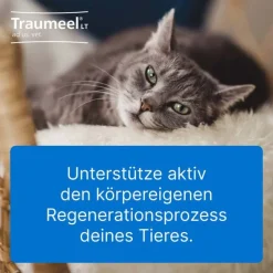 Traumeel LT ad us.vet.Tabletten, 250 St- Rinder|Pferde