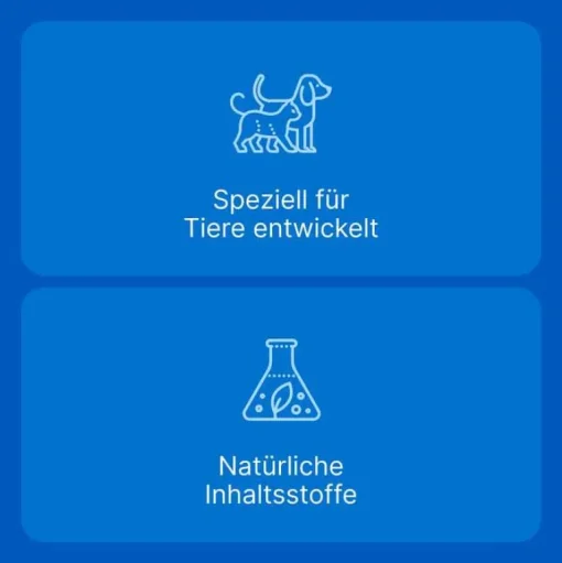 Traumeel LT ad us.vet.Tabletten, 250 St- Rinder|Pferde