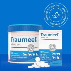 Traumeel LT ad us.vet.Tabletten, 250 St- Rinder|Pferde