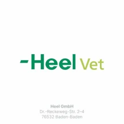 Traumeel LT ad us.vet.Tabletten, 250 St- Rinder|Pferde