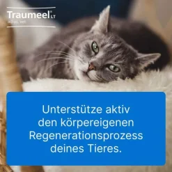 Traumeel LT ad us.vet.Tabletten, 100 St- Pferde|Biologische Heilmittel Heel Gmbh