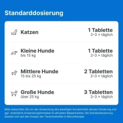 Traumeel LT ad us.vet.Tabletten, 100 St- Pferde|Biologische Heilmittel Heel Gmbh