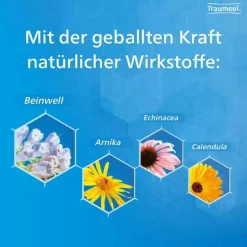 Traumeel ® S Creme und Tabletten, 1 St- Heel