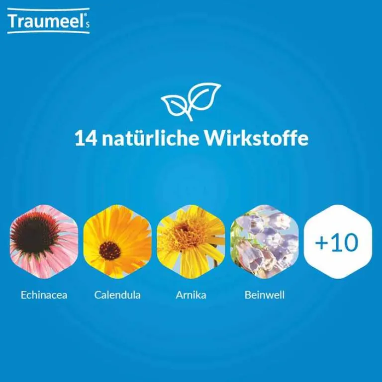 Traumeel ® S Mischung, 30 ml- Heel|Für Unterwegs
