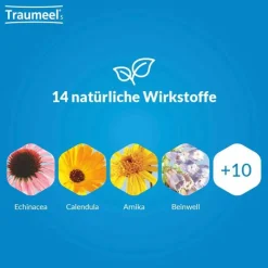 Traumeel S Tabletten, 50 St- Heel|Für Unterwegs