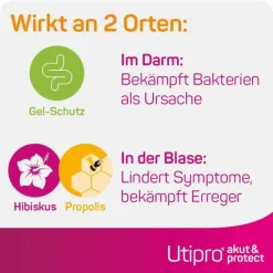 Utipro Blasenentzündung Medikamente-® akut & protect Kapseln, 15 St