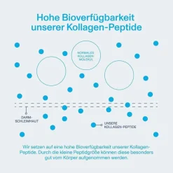 Vital Proteins Collagen Peptides neutral Pulver, 567 g- Kollagen