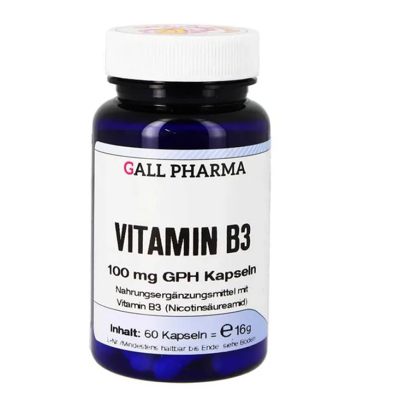 Vitamin B3 100 mg GPH Kapseln, 60 St^Hecht Pharma Hot