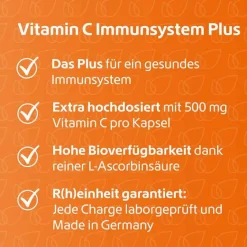 R(h)ein Nutrition Vitamin C (Ascorbinsäure)-Vitamin C Immunsystem Plus Kapseln, 120 St
