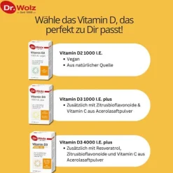 Dr. Wolz Vitamin D3 4000 I.E. plus Kapseln, 60 St- Vitamin D (Colecalciferol)