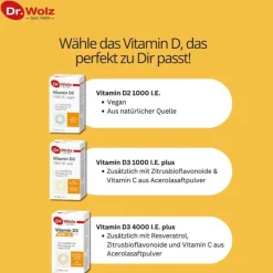 Dr. Wolz Vitamin D (Colecalciferol)-Vitamin D2 1000 I.E. vegan Kapseln, 60 St