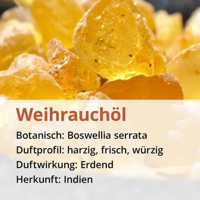 Casida Weihrauch Öl naturrein ätherisch, 5 ml- Weihrauch