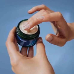 Weleda festigende Nachtpflege blauer Enzian & Edelweiss, 40 ml- Gesichtspflege|Nachtpflege