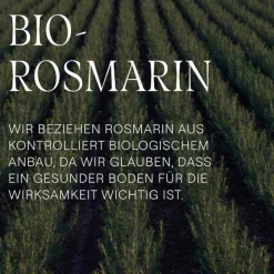 Weleda Haarpflege|Shampoos-Rosmarin Revitalising Shampoo, 250 ml