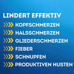 DayMed Kombi Erkältungsgetränk, 10 St^Wick