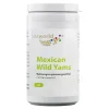 Vitaworld Yams 500 mg Kapseln, 60 St- Yamswurzel