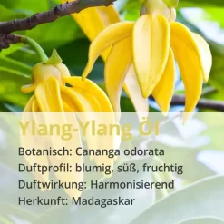Casida Ylang Ylang Öl naturrein ätherisch, 10 ml- Aromatische Düfte