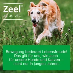Zeel Biologische Heilmittel Heel Gmbh-® ad us. vet. Tabletten, 500 St