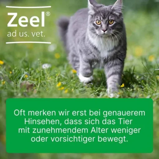 Zeel Biologische Heilmittel Heel Gmbh-® ad us. vet. Tabletten, 500 St