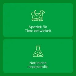 Zeel ® LT ad us. vet. Tabletten, 100 St- Biologische Heilmittel Heel Gmbh