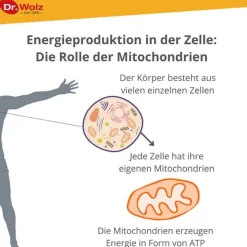 Dr. Wolz Zell Oxygen plus flüssig, 250 ml- Enzyme