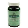 Green line Nutritheke Zink|Selen-Zink Selen ACE Kapseln, 90 St