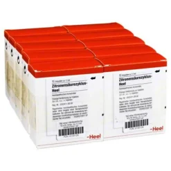 Heel Zitronensäurezyklus Ampullen, 100 St- Heel